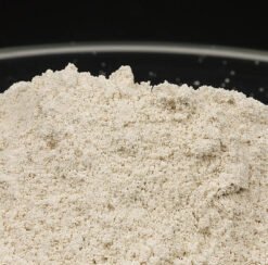 Crocodile – Désomorphine