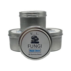 Gommes aux champignons biologiques à dose multiple quotidienne