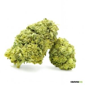 Biscuits glacés supérieurs 55 % ❄️🍪