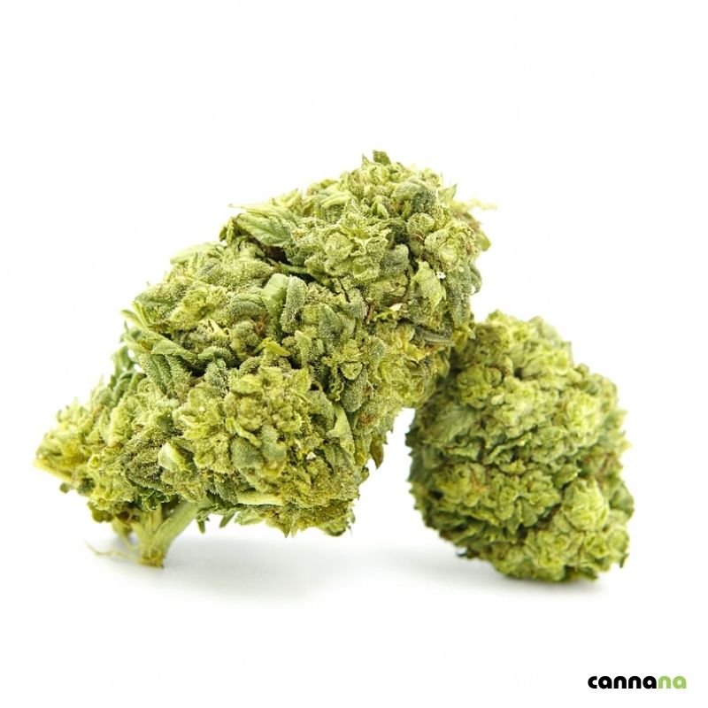 Biscuits glacés supérieurs 55 % ❄️🍪