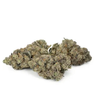 Slurricane de Pluto Craft Cannabis