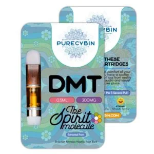 Achetez le stylo DMT Purecybin – 0,5 ml | 300 mg de DMT