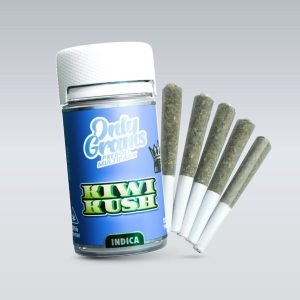Pré-roulés de qualité supérieure 40 % – Kiwi Kush 2,5 g