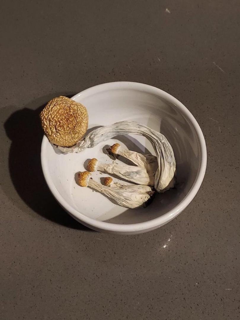 Acheter des champignons à Paris en ligne – Image 5