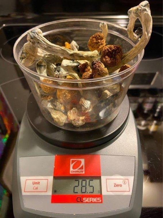 Acheter des champignons à Paris en ligne – Image 6